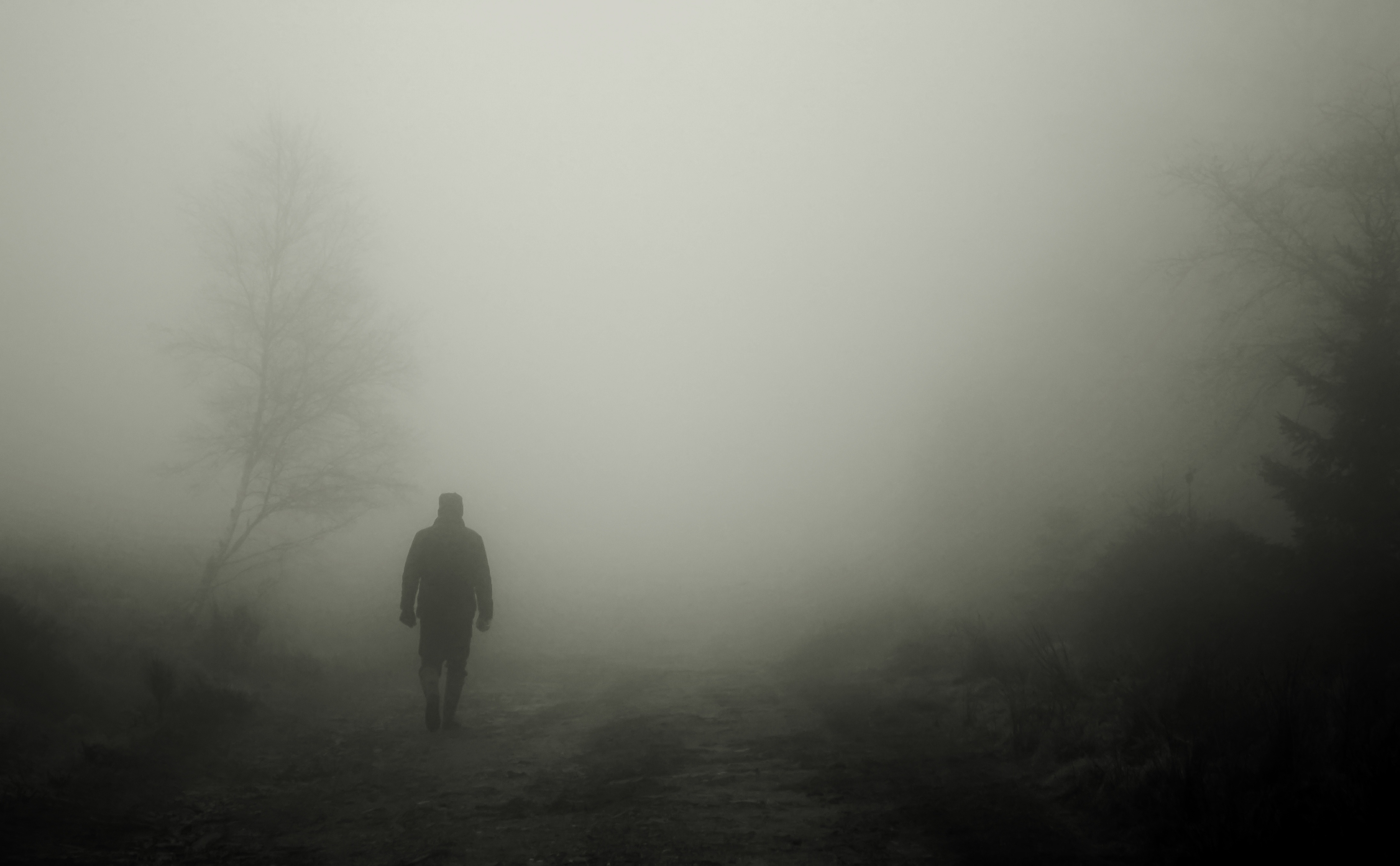 man walking near tree walkers autumn fog human mood atmosphere 2k 4k
