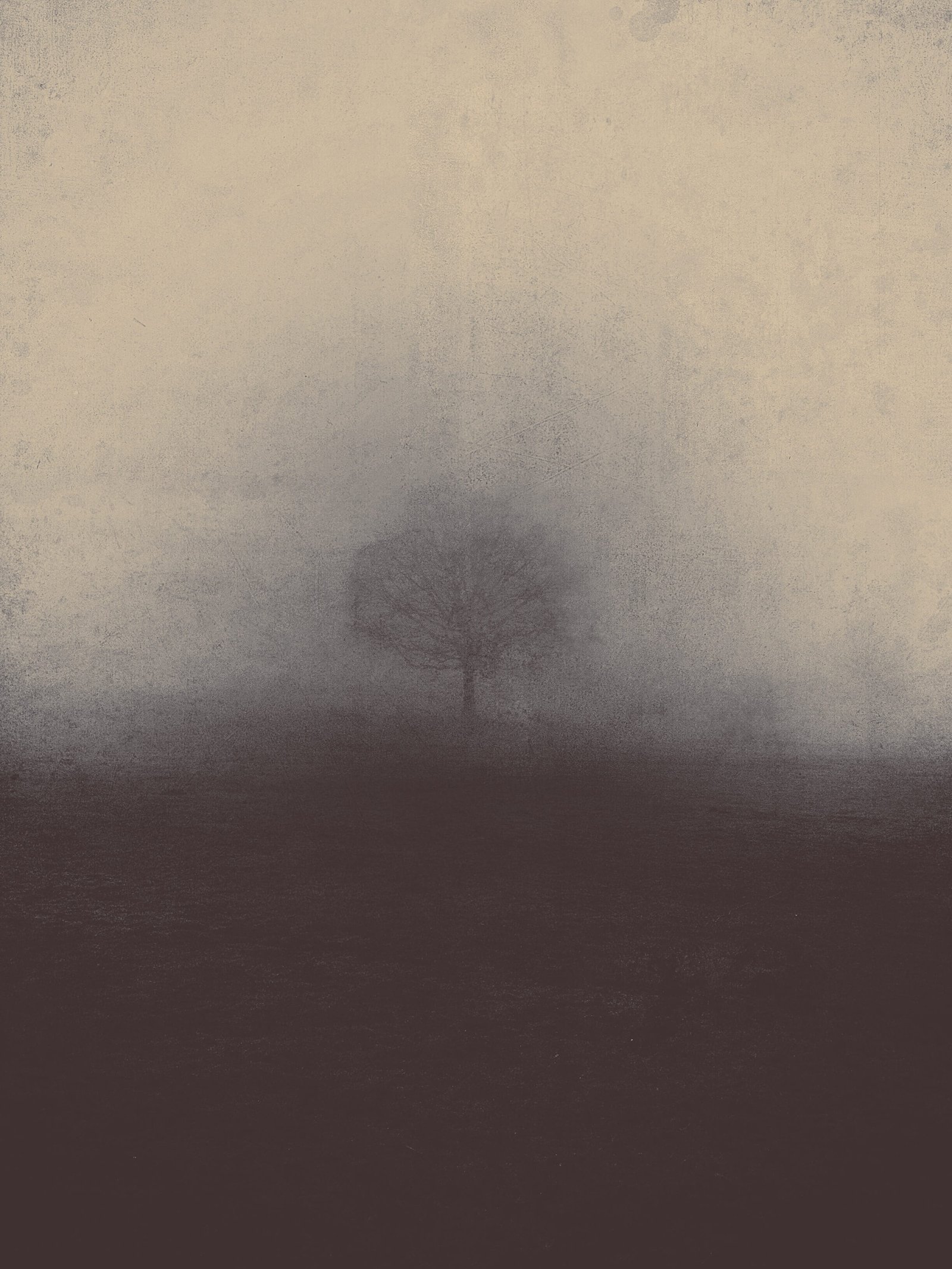 misty fog nature haze foggy gloomy spooky landscape frightening 2k