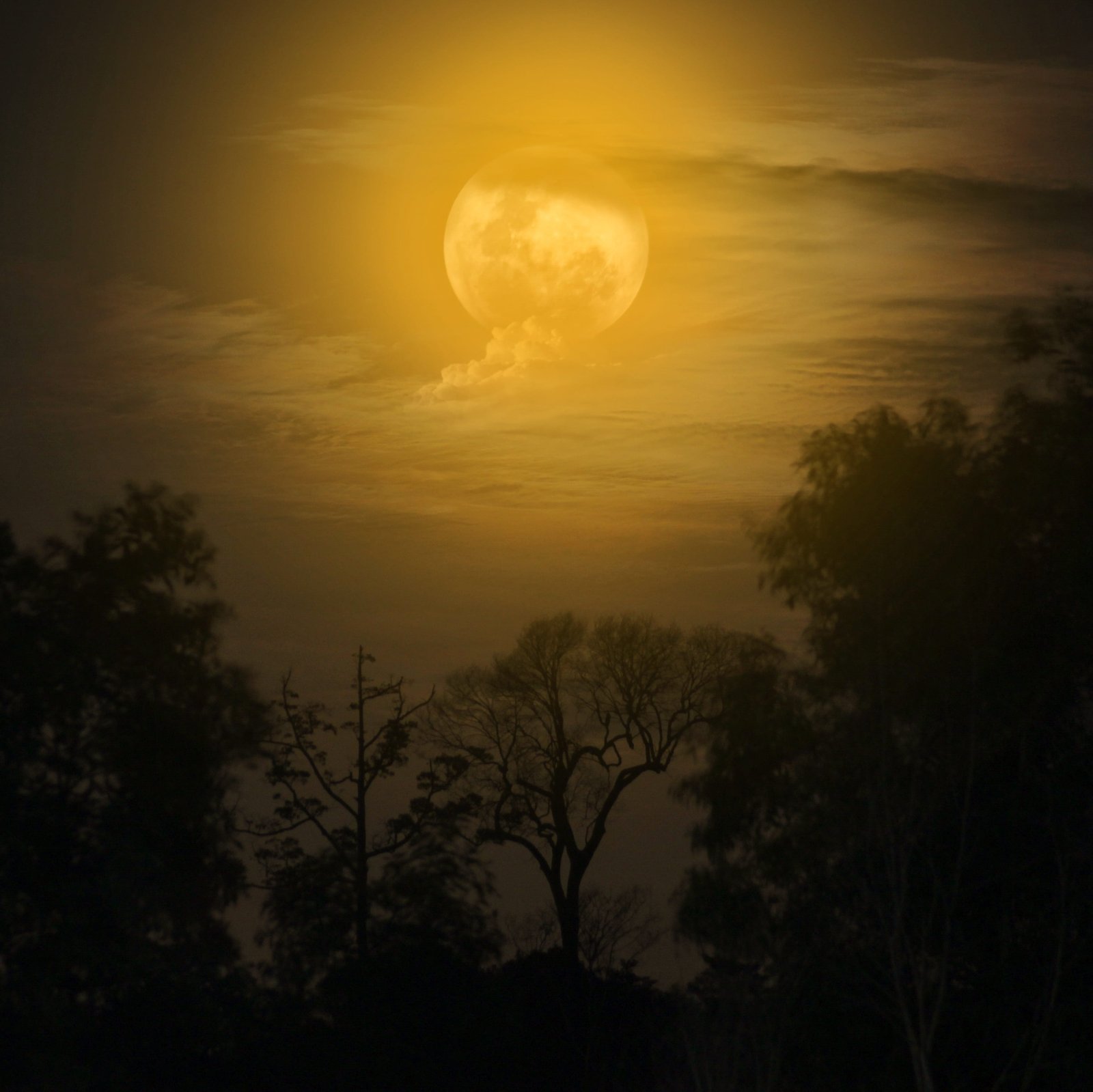 moon night moonlight dark fantasy midnight sky love 2k