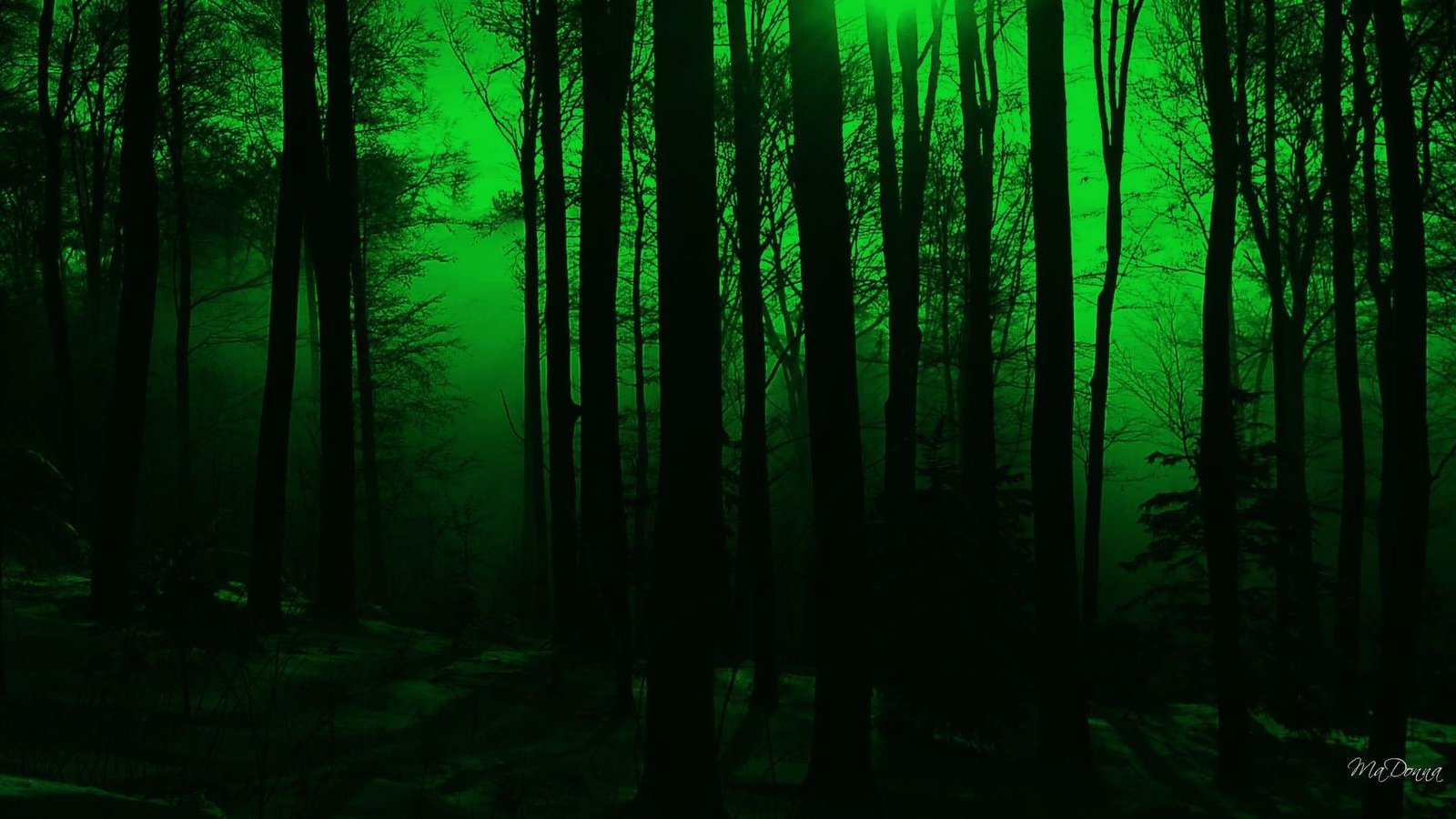 Mystical Forest firefox persona fantasy magical green widescreen 2k