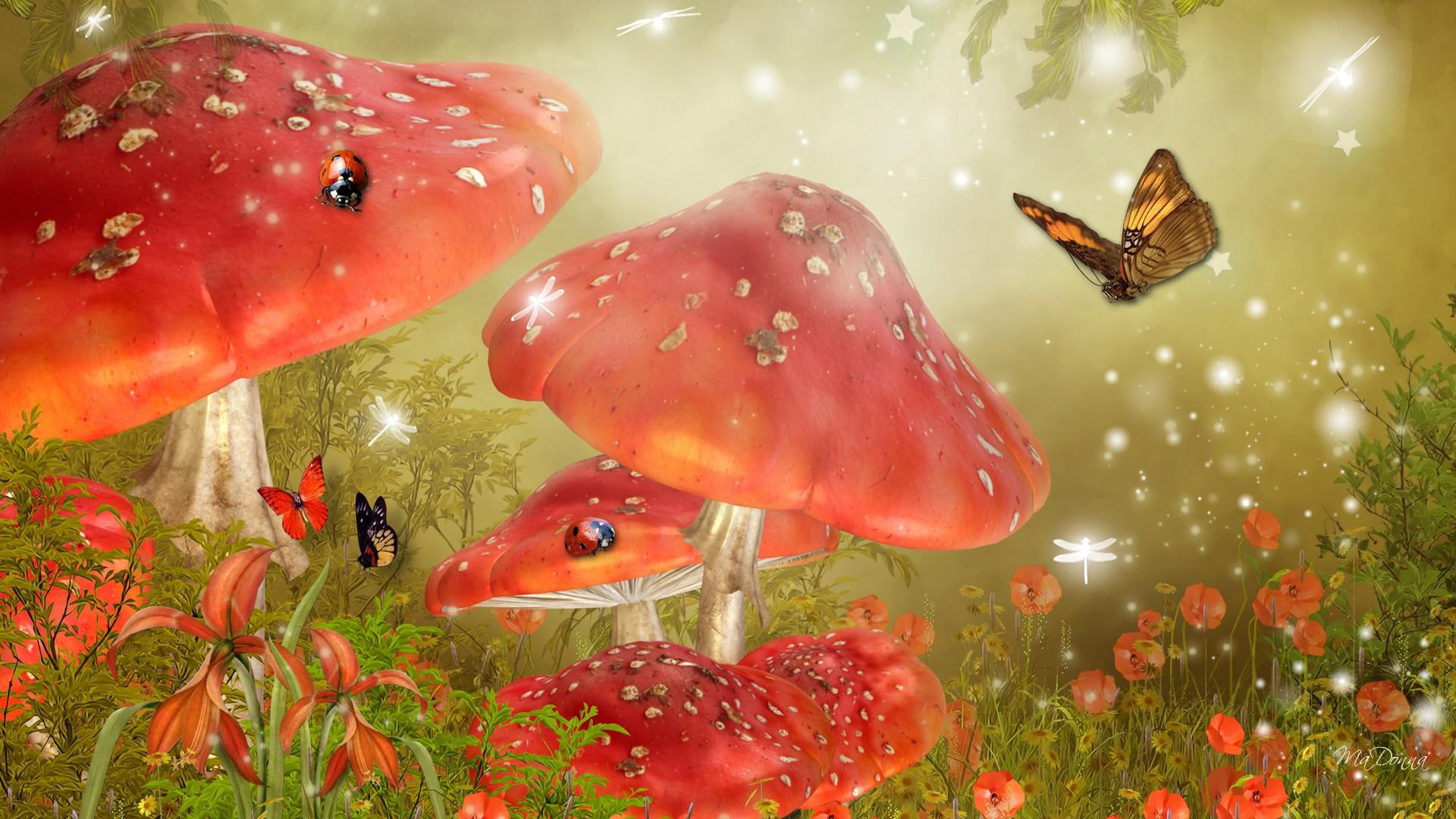 Mystical Mushrooms ladybugs papillon poppies flowers field 2k