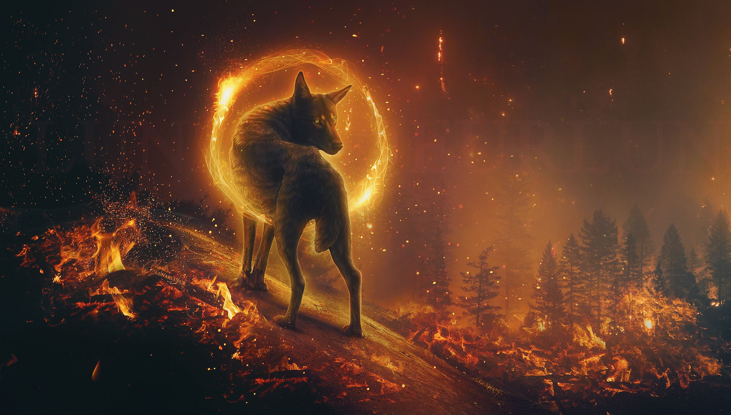 night fantasy fiction fire magic wolf beauty mystic 2k