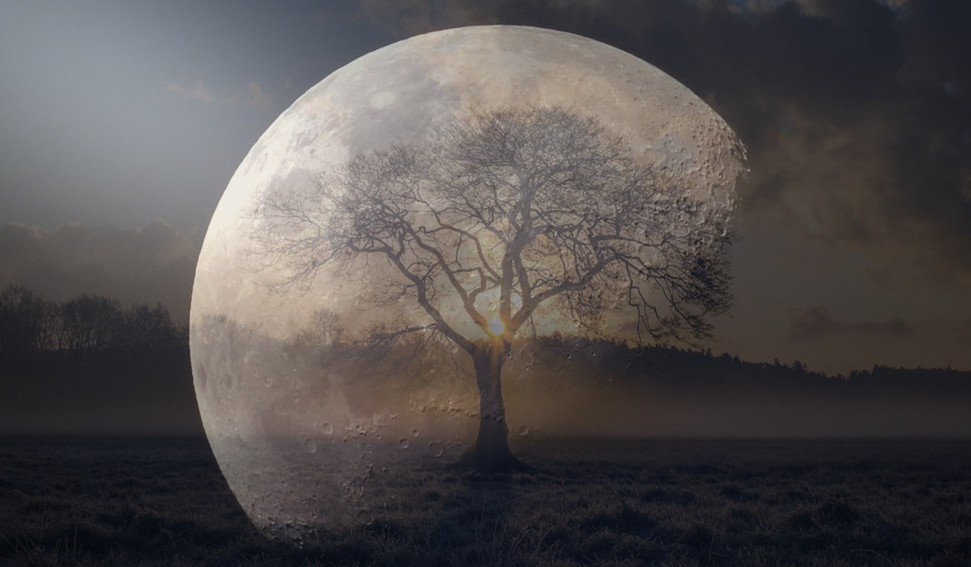 optical illusion photo of tree and moon night mood sky full 2k