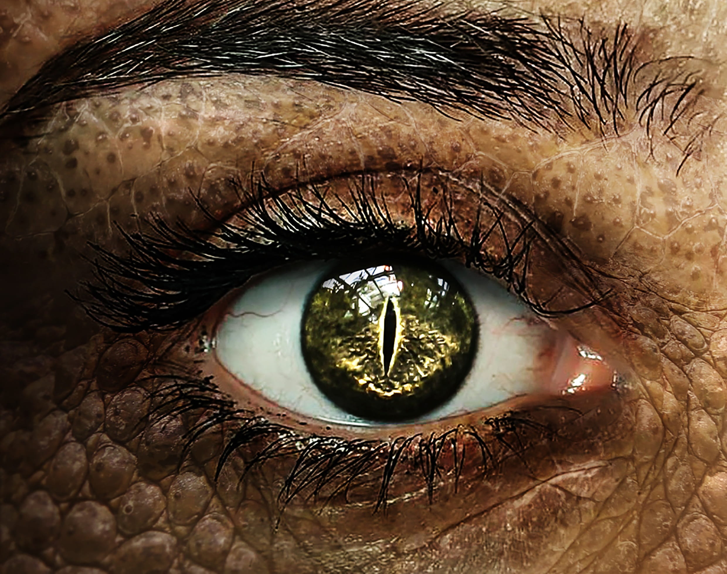 person with reptile eye close up photo crocodile 2k