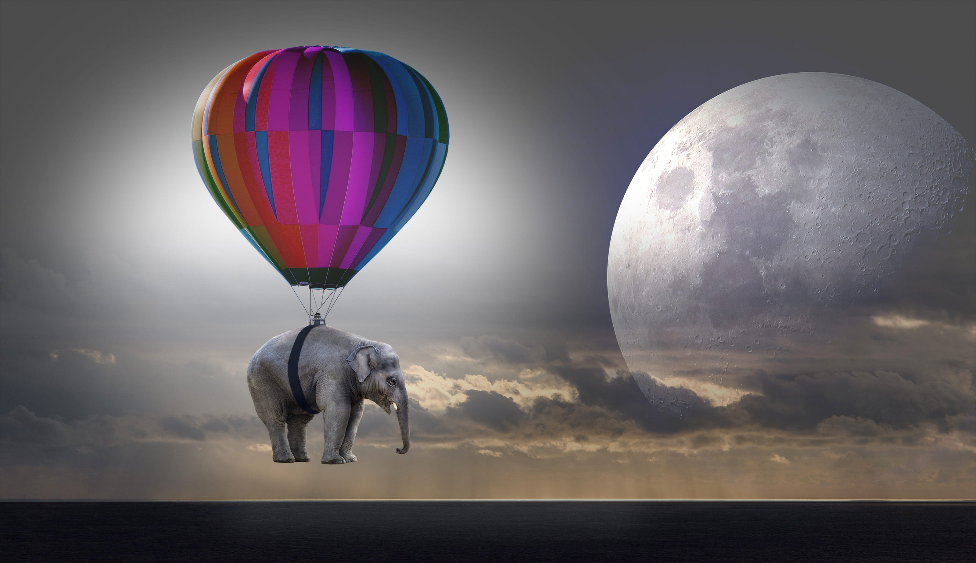 purple blue and orange hot air balloon gray elephant weightless 2k