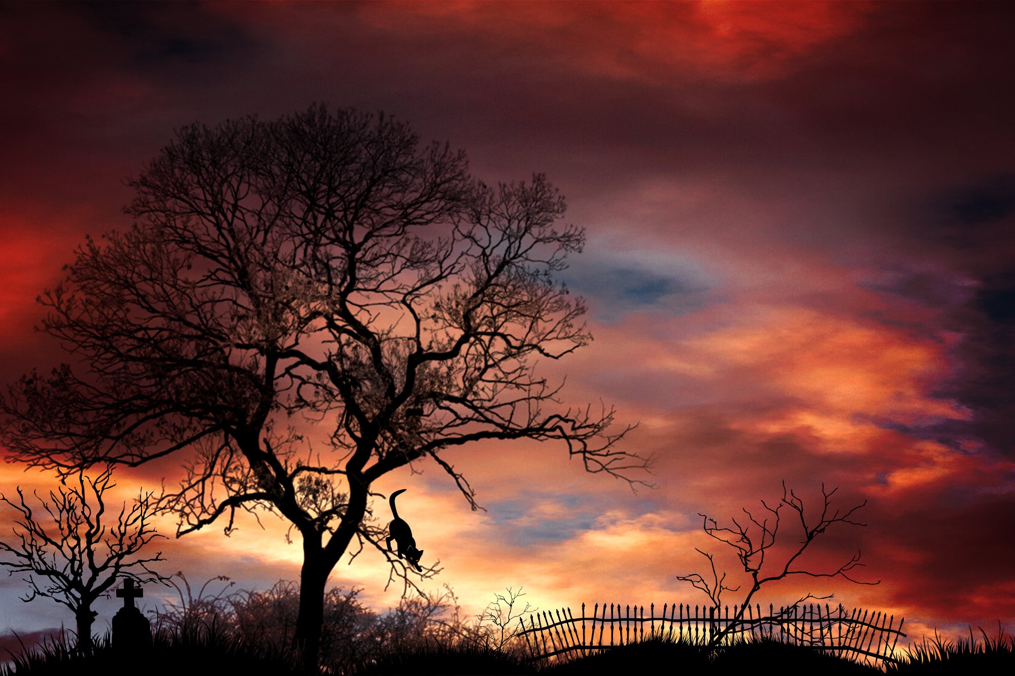 silhouette photography of tree tombstone cemetery trees mystical 2k