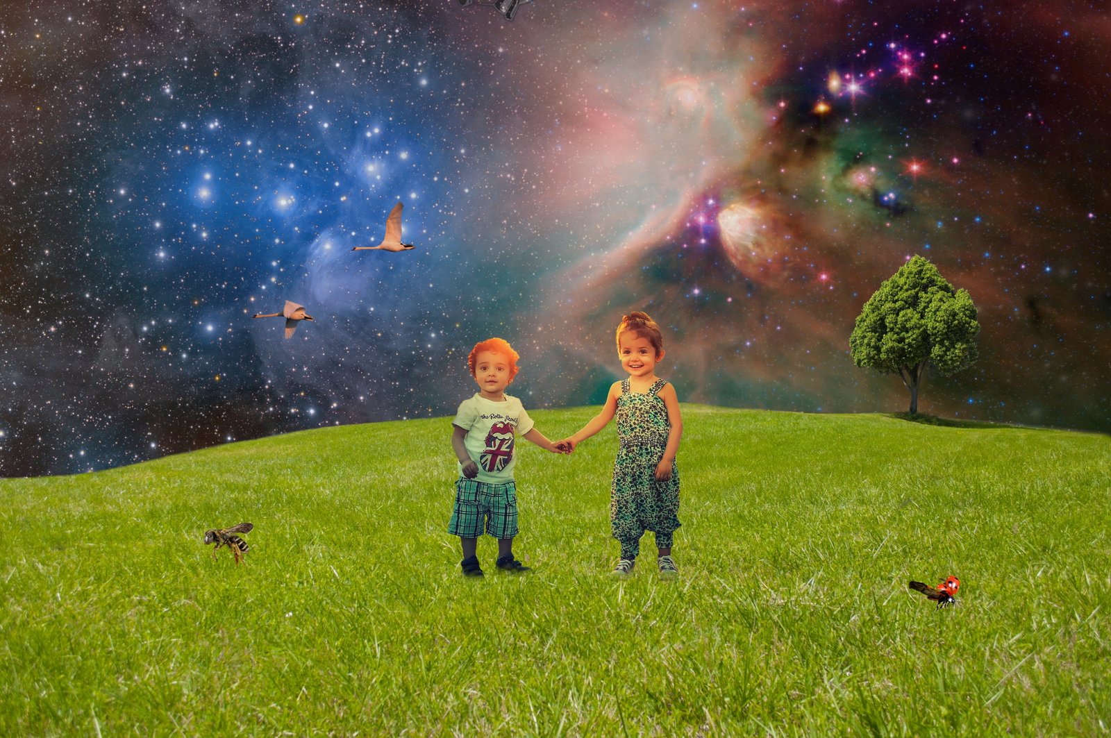 two toddlers on grassy plain edited photo Green Meadow Children 2k 4k