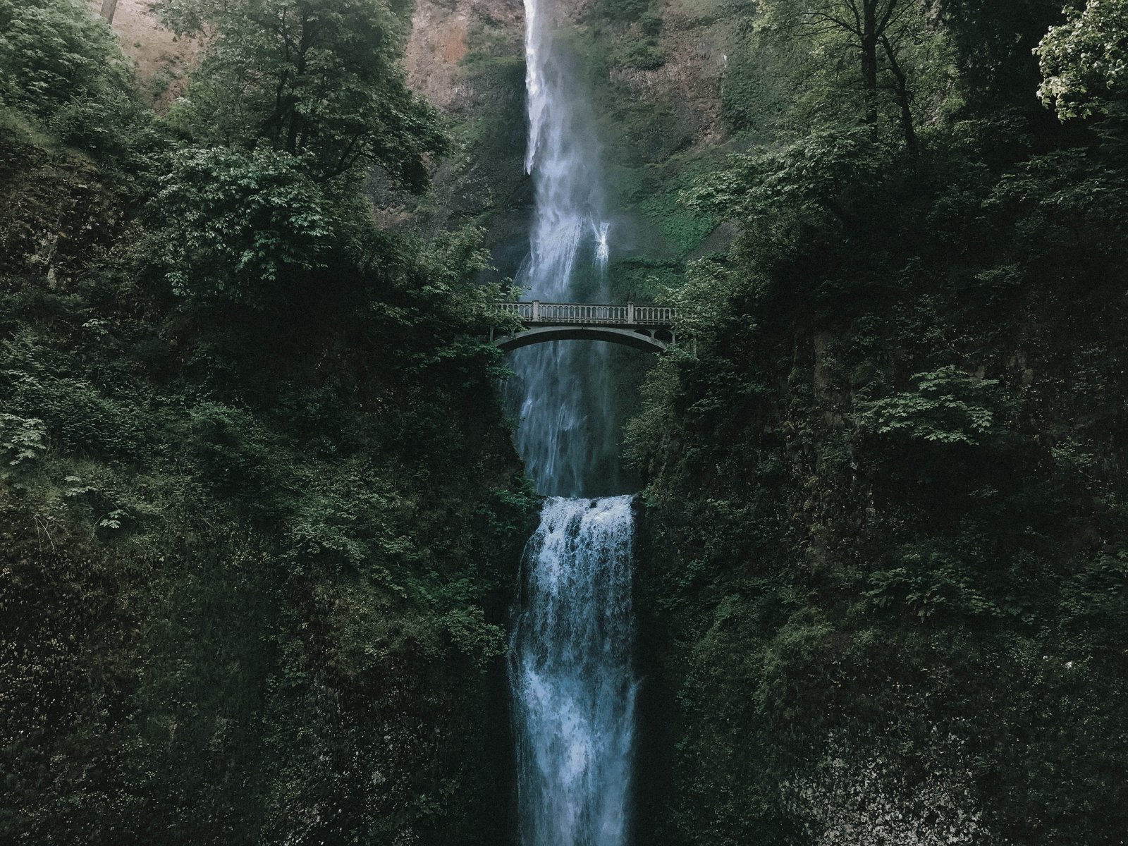 waterfalls surrounded by plants bridge tree forest moody 2k 4k