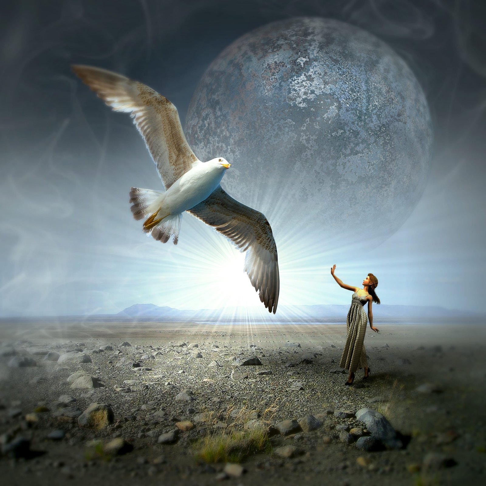 woman in white dress looking at bird cd cover gull moon landscape 2k