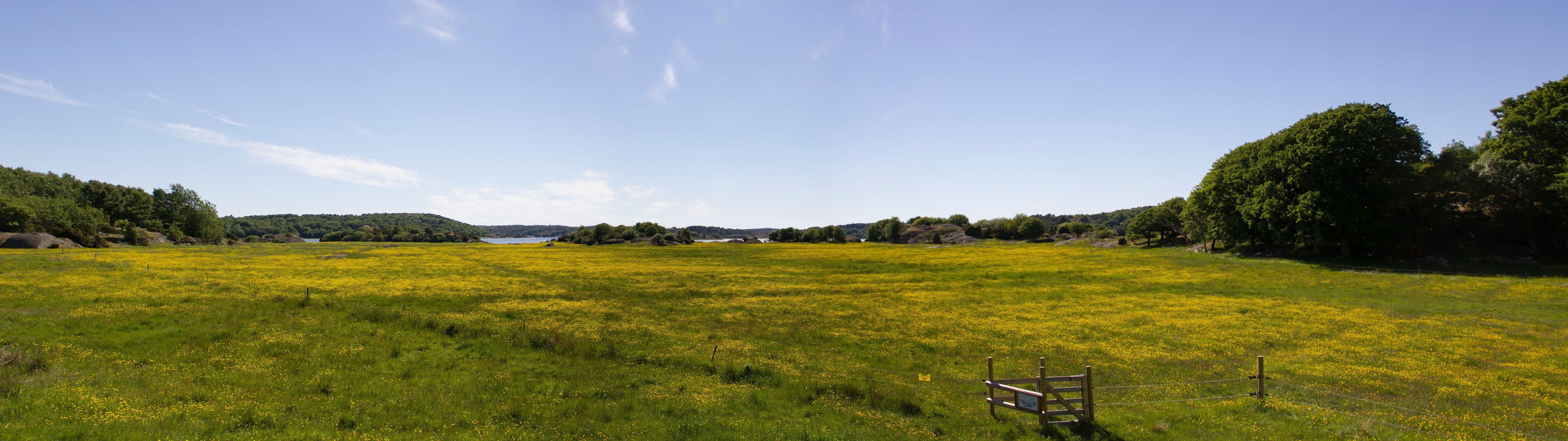 px Dual Monitors Multiple Display People Models Female HD Art widescreen dualmonitor dualscreen 2k 4k