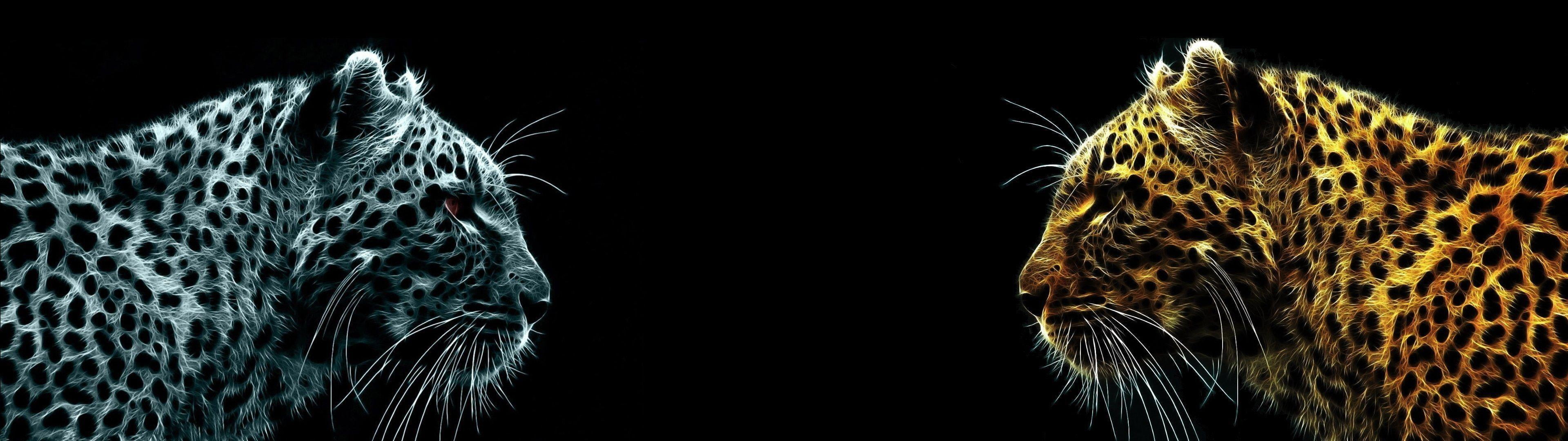 dual monitor the dark background Jaguars widescreen dualmonitor dualscreen 2k 4k