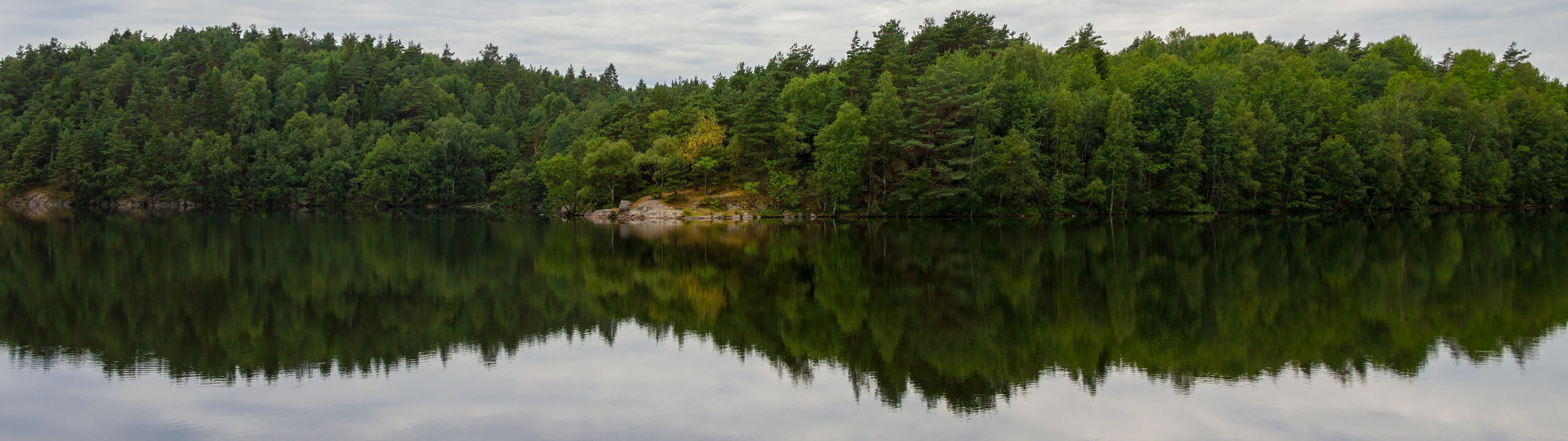 dual monitors multiple display landscape reflection tree widescreen dualmonitor dualscreen 2k 4k