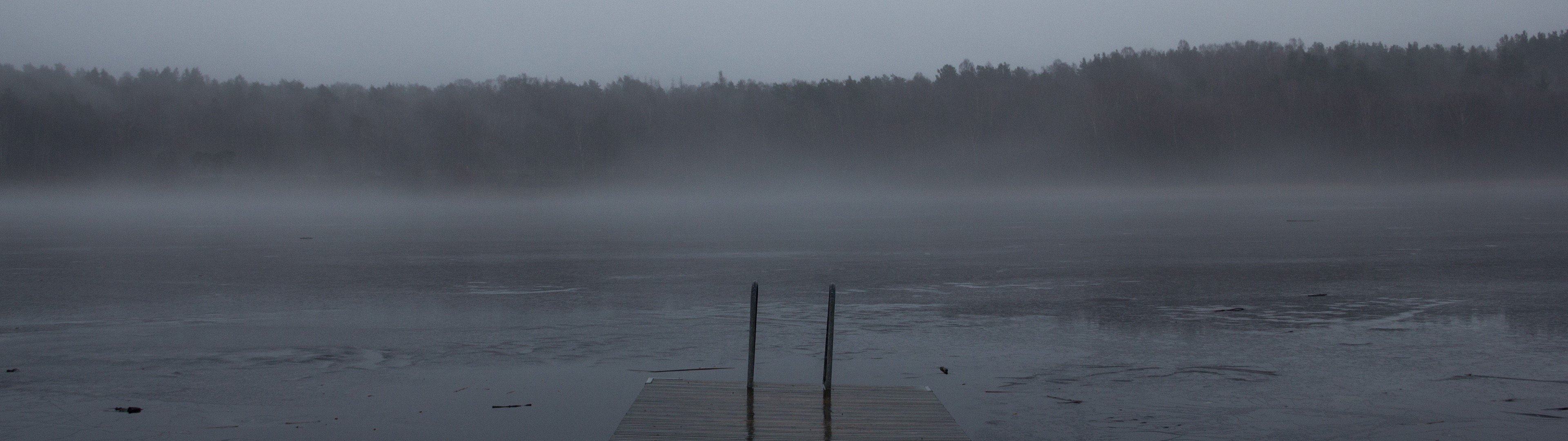 dual monitors multiple display fog water tranquility tree widescreen dualmonitor dualscreen 2k 4k