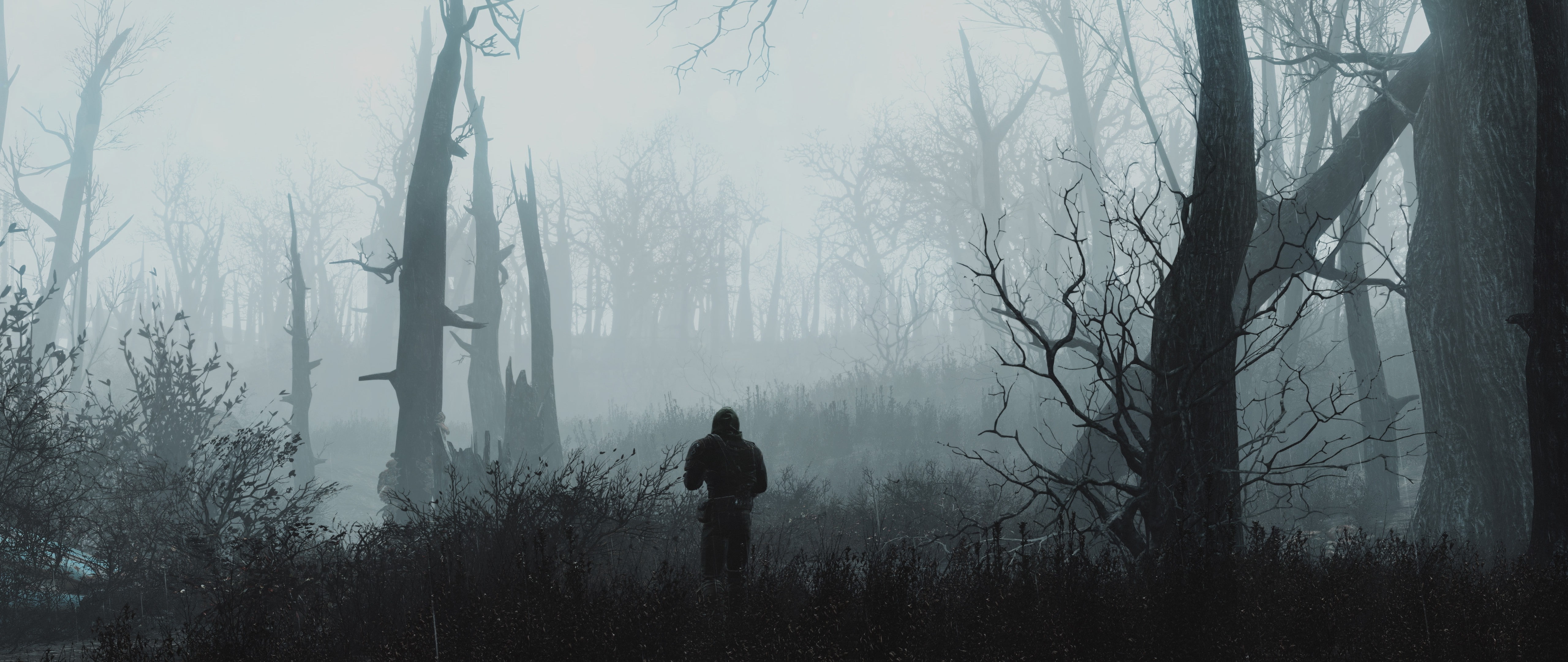 dual monitors video games tree forest plant fog widescreen dualmonitor dualscreen 2k 4k 5k