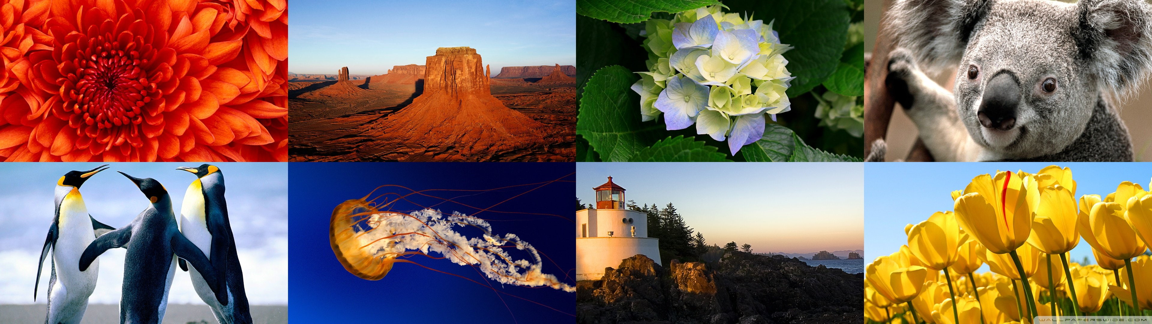 dual monitor nature screen window windows widescreen dualmonitor dualscreen 2k 4k