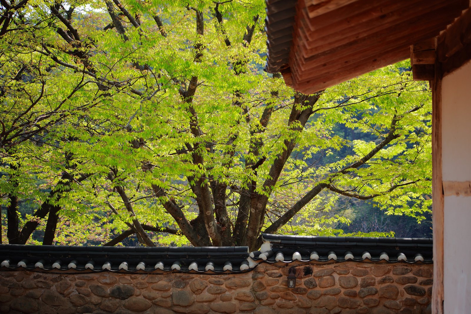 giwajip korean traditional spring republic of korea building 2k 4k 5k