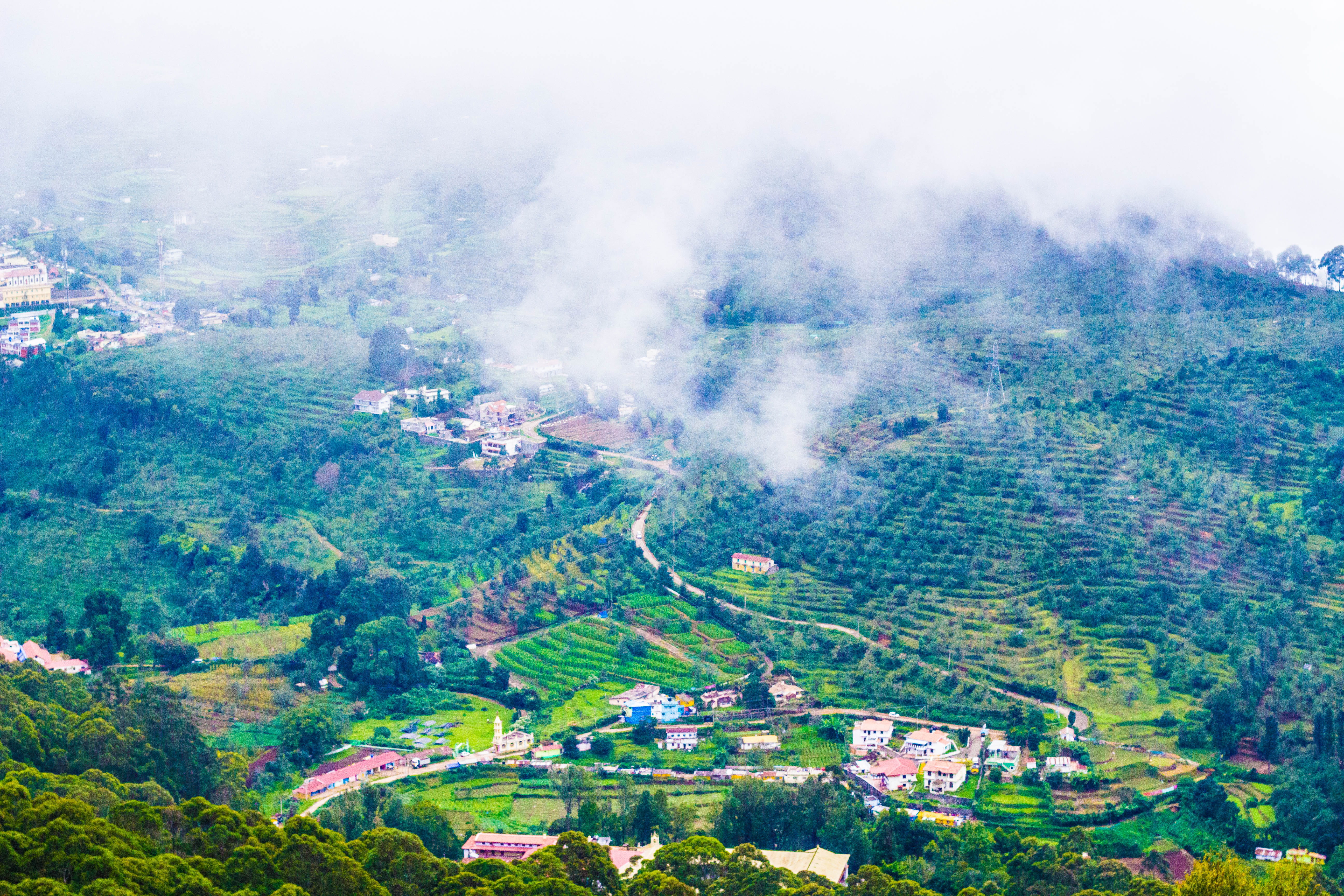 ooty india hills station nature trees greenary scenics 2k 4k 5k