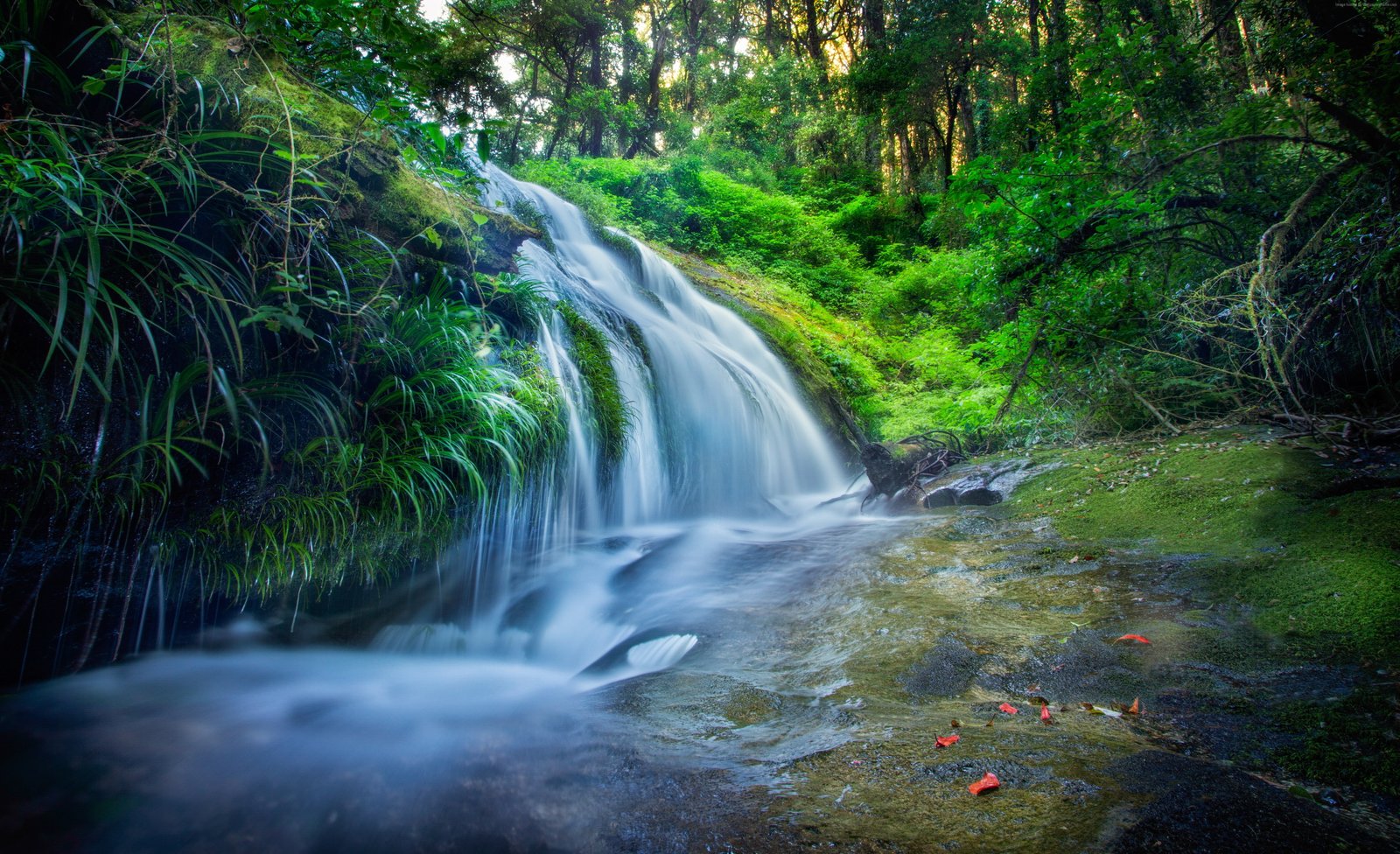 rocks trees waterfall forest plants river 2k 4k 5k