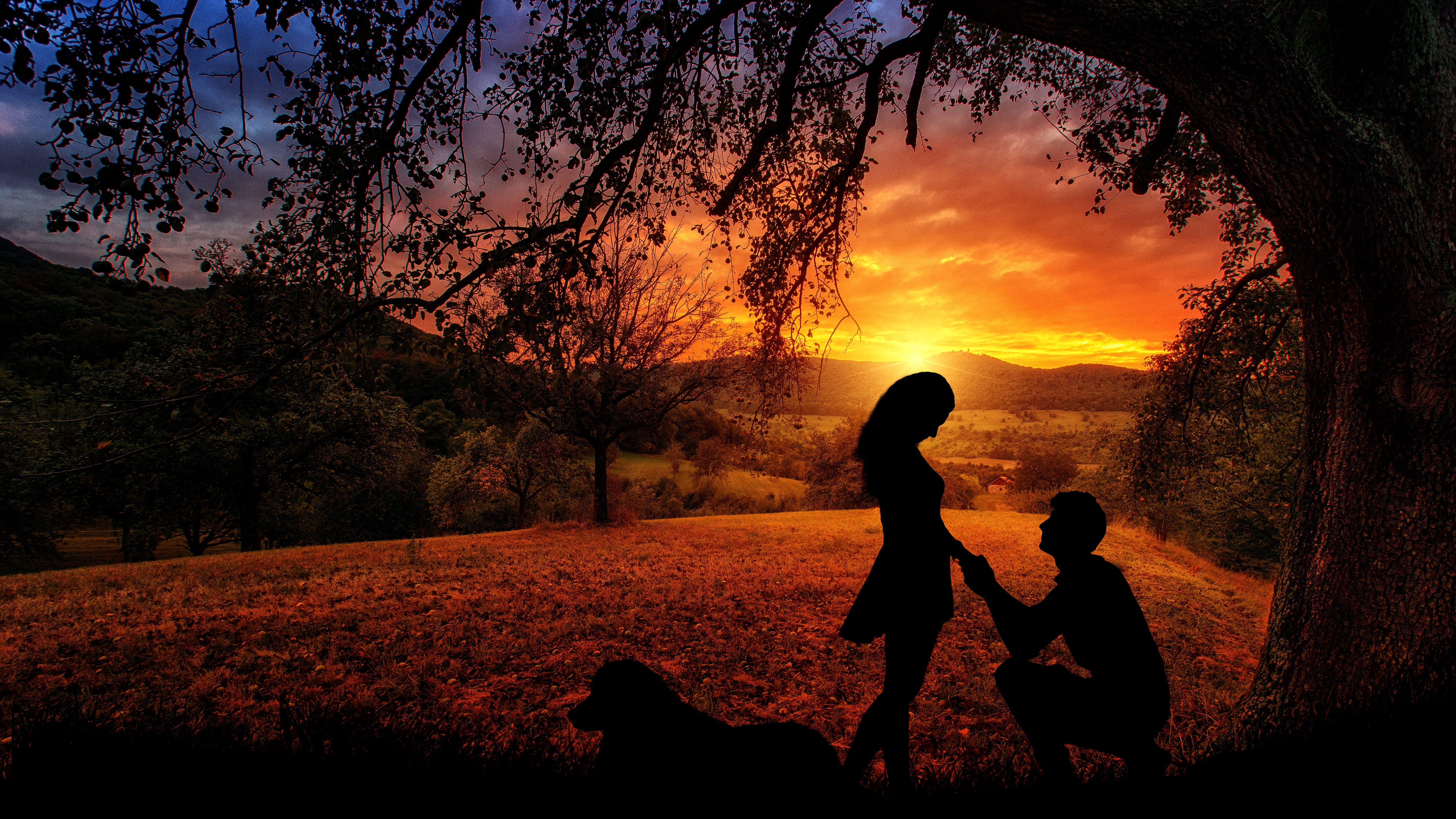 sunset outdoors dawn nature dusk silhouette couple lovers 2k 4k 5k