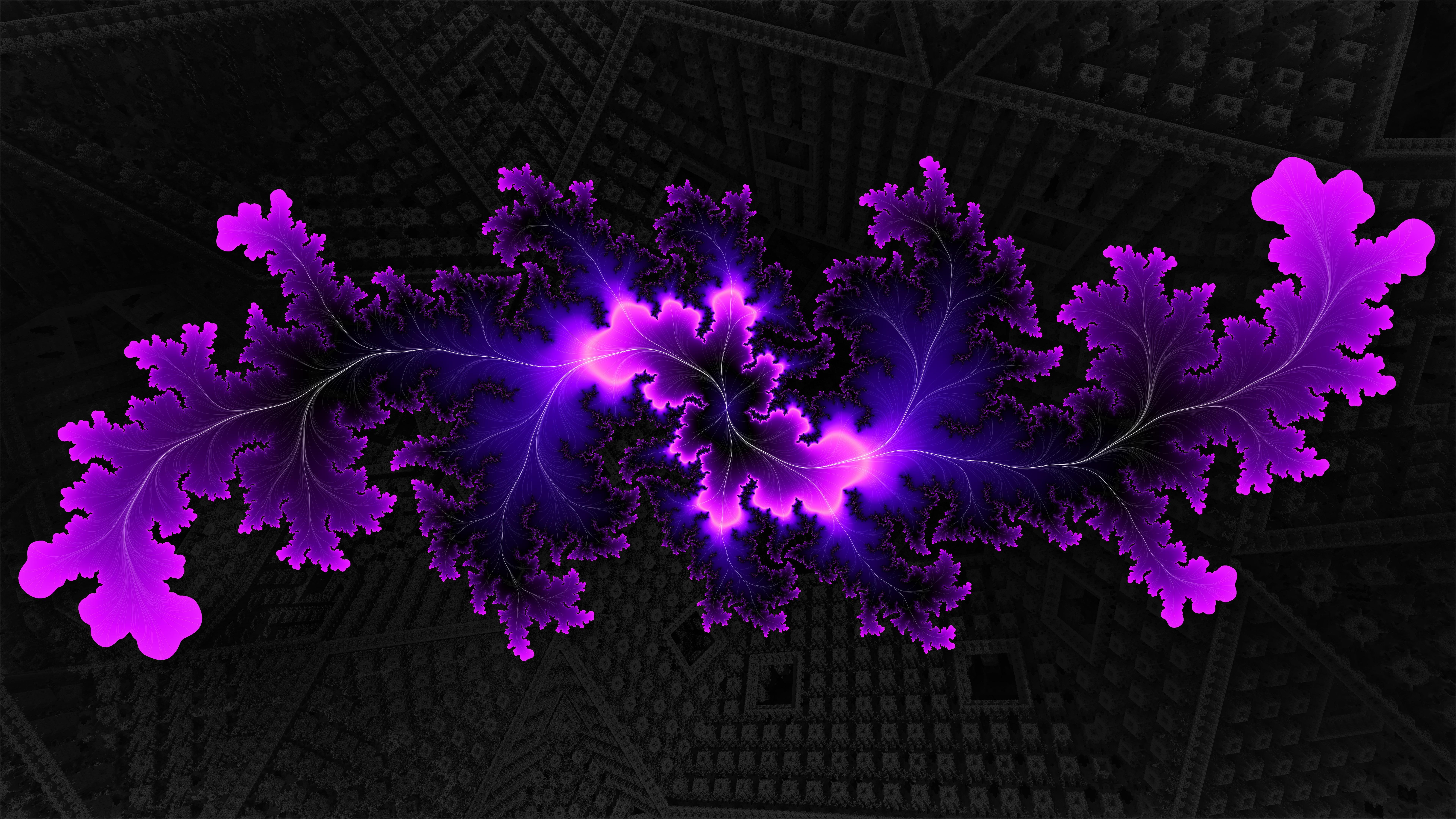 violet purple fractal uhd black dark glow glowing 2k 4k 5k 8k
