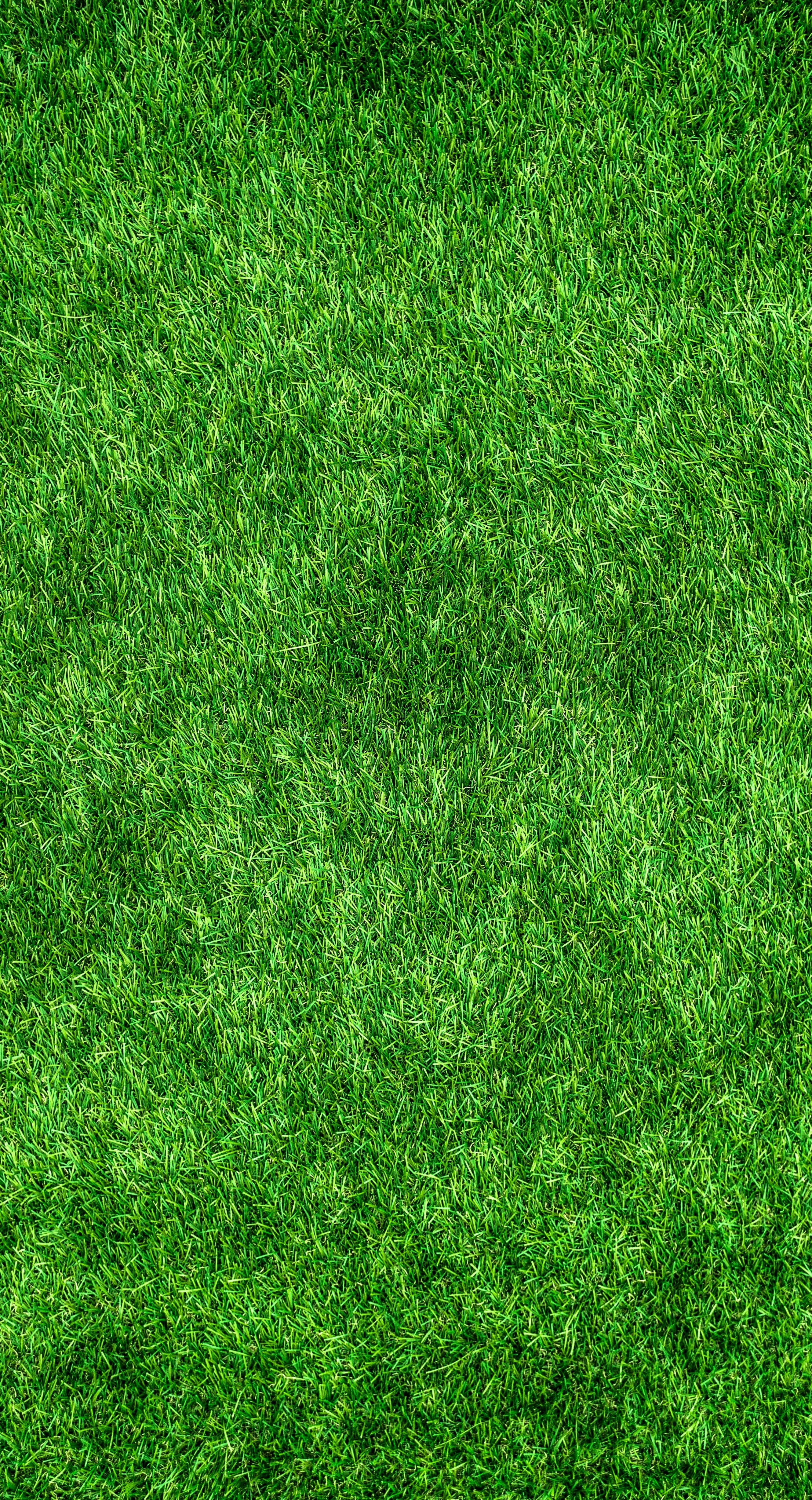 green grass nature abstract plants herb artificial turf 2k