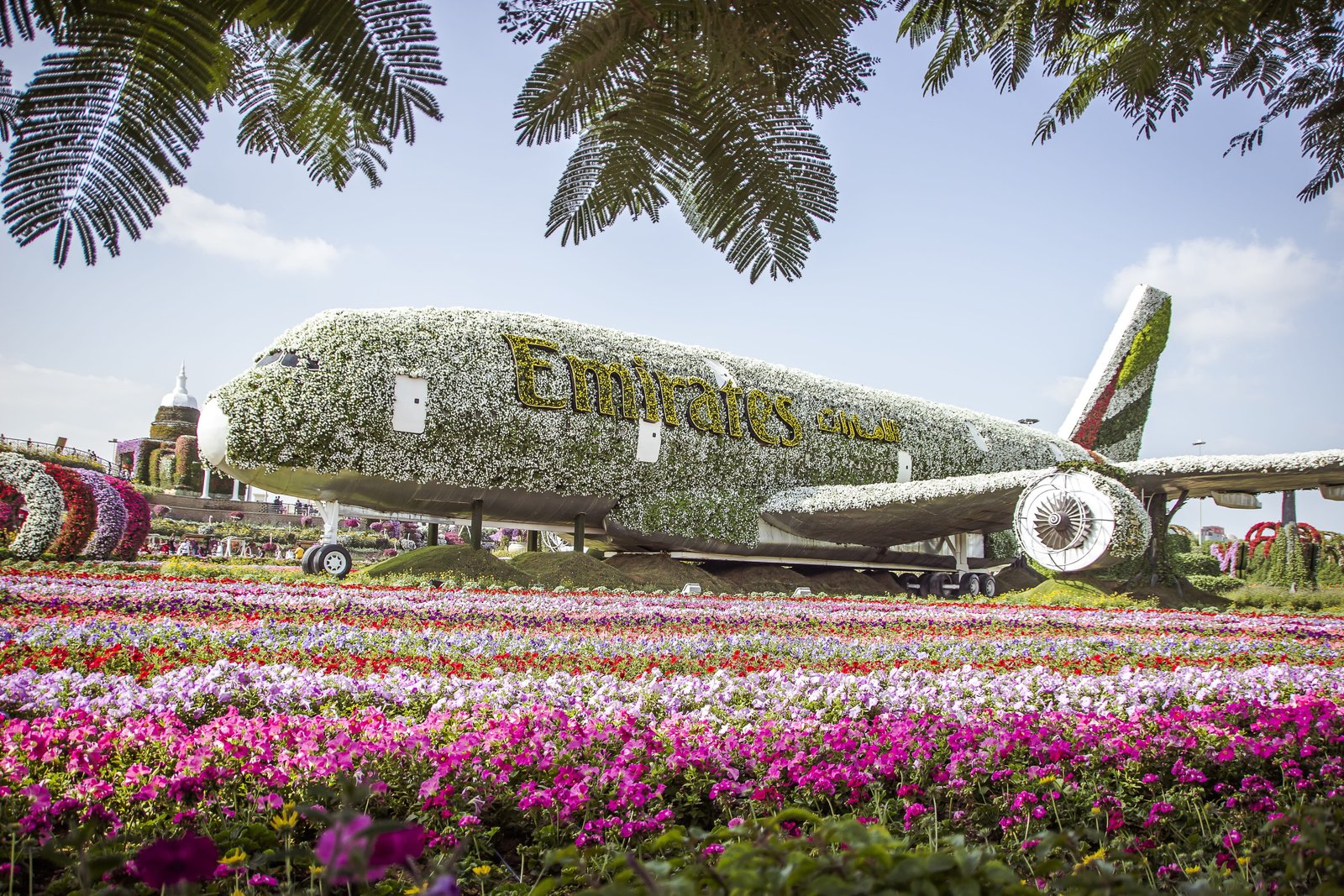 miracle garden dubai flowers nature flower park 2k 4k 5k