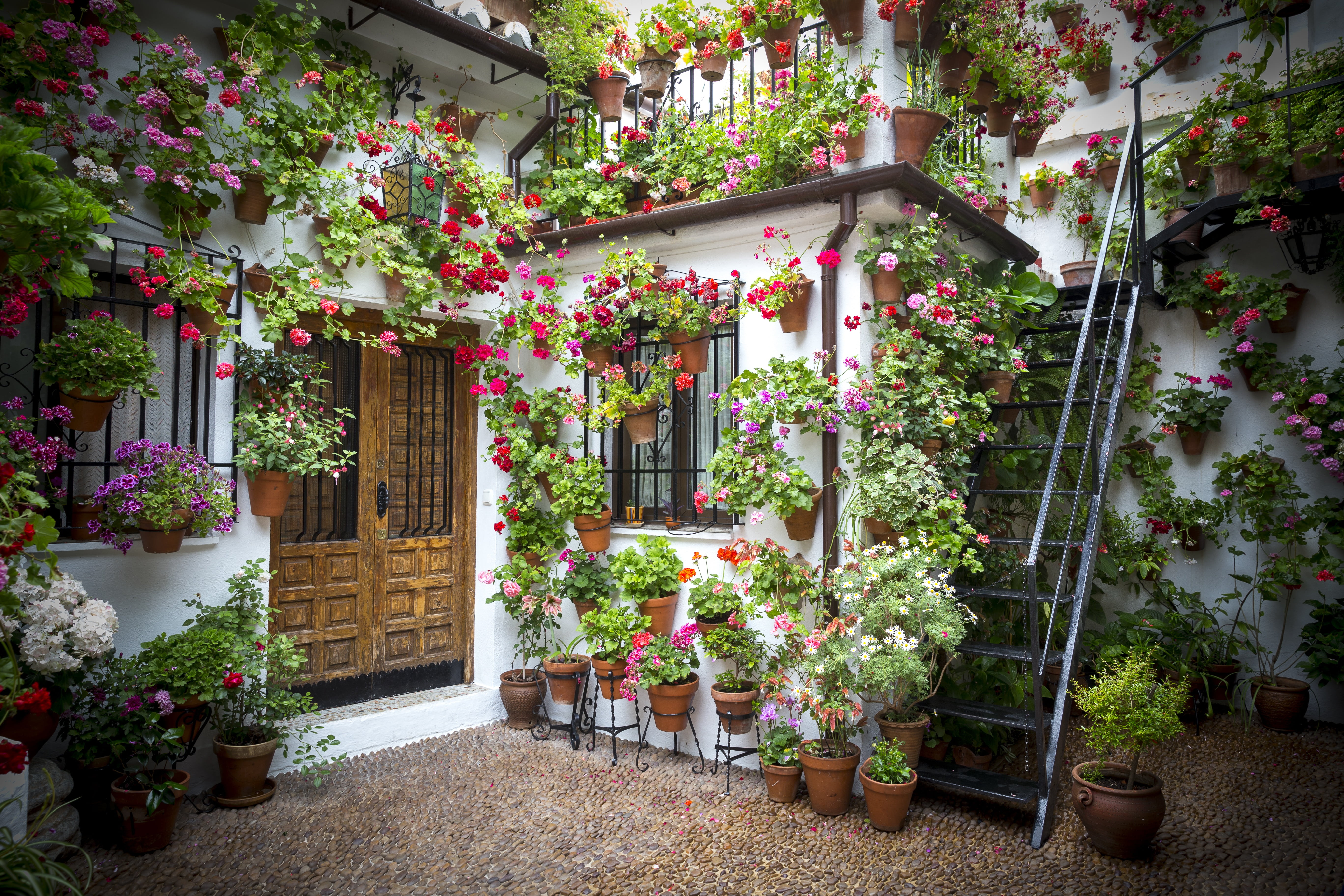 photography of house with flowers pots patio andalusian 2k 4k 5k