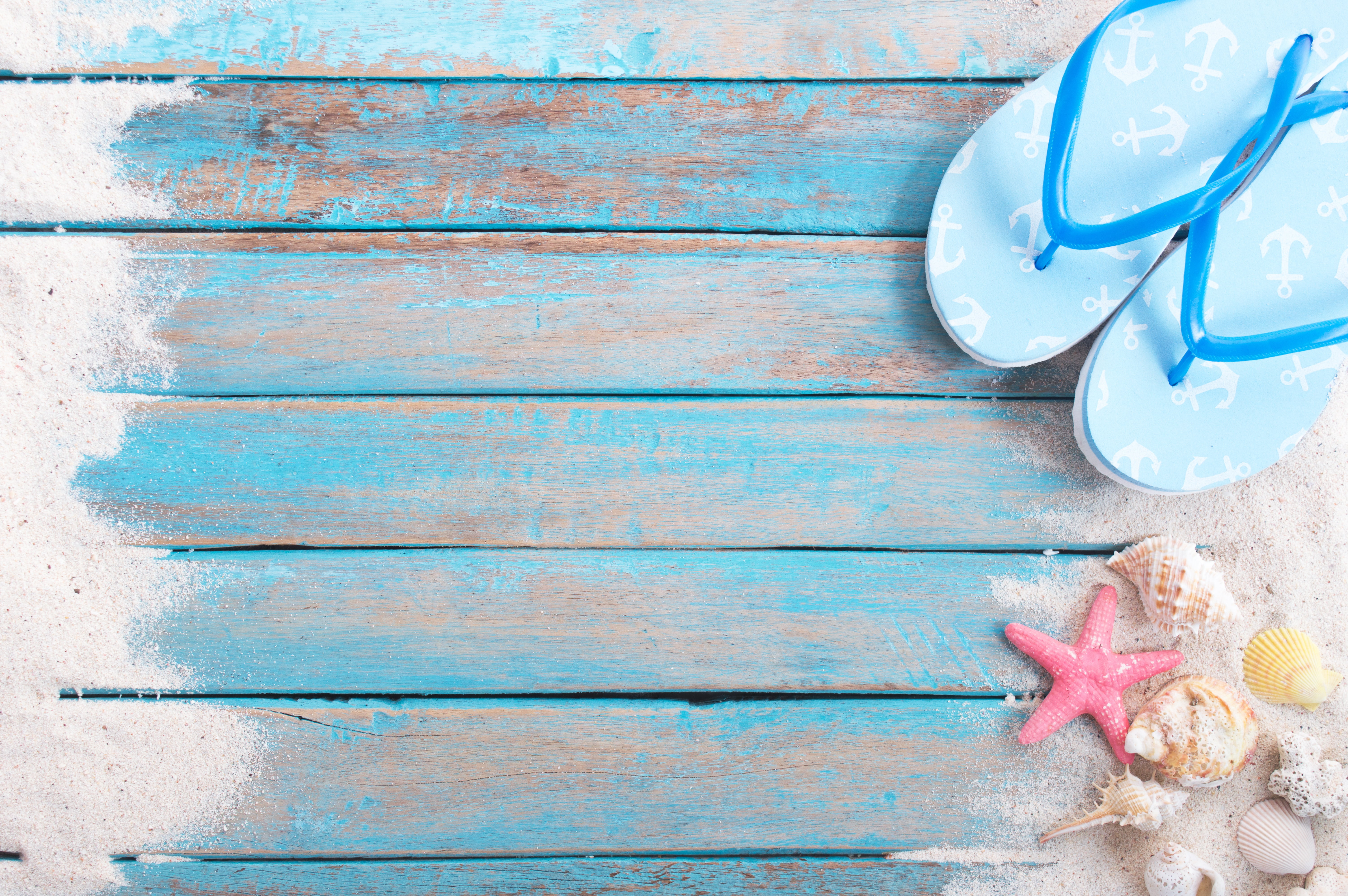 sand beach star shell summer wood marine starfish seashells 2k 4k 5k