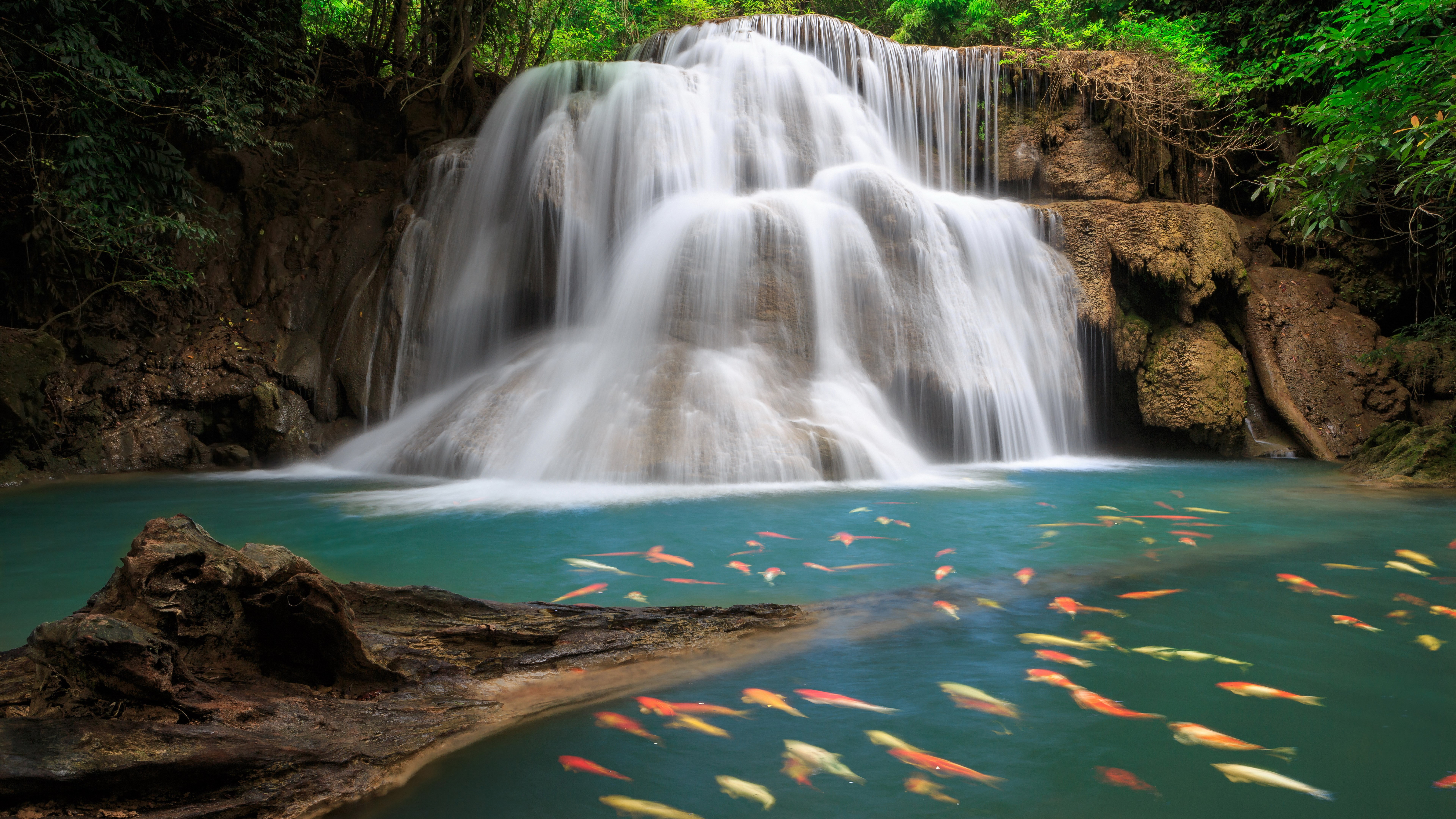 top nature scenery pics 2k 4k 5k 8k