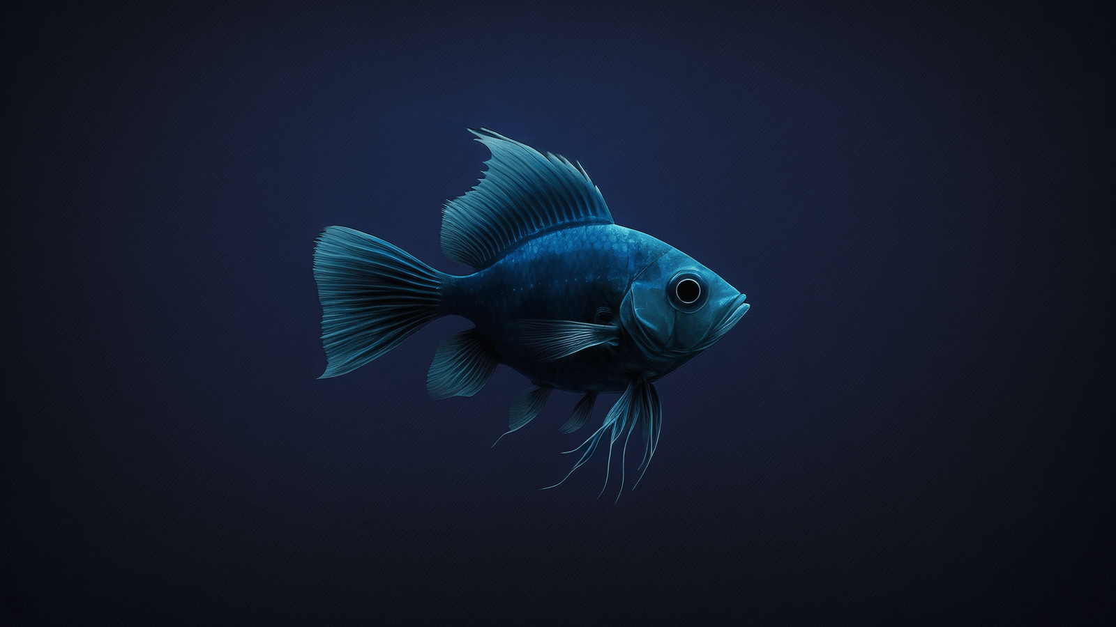 Blue fish 2k