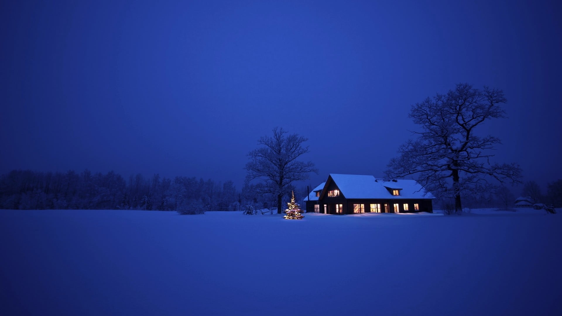 gray house photo of cabin in the middle snow covered field during nighttime 70 2k