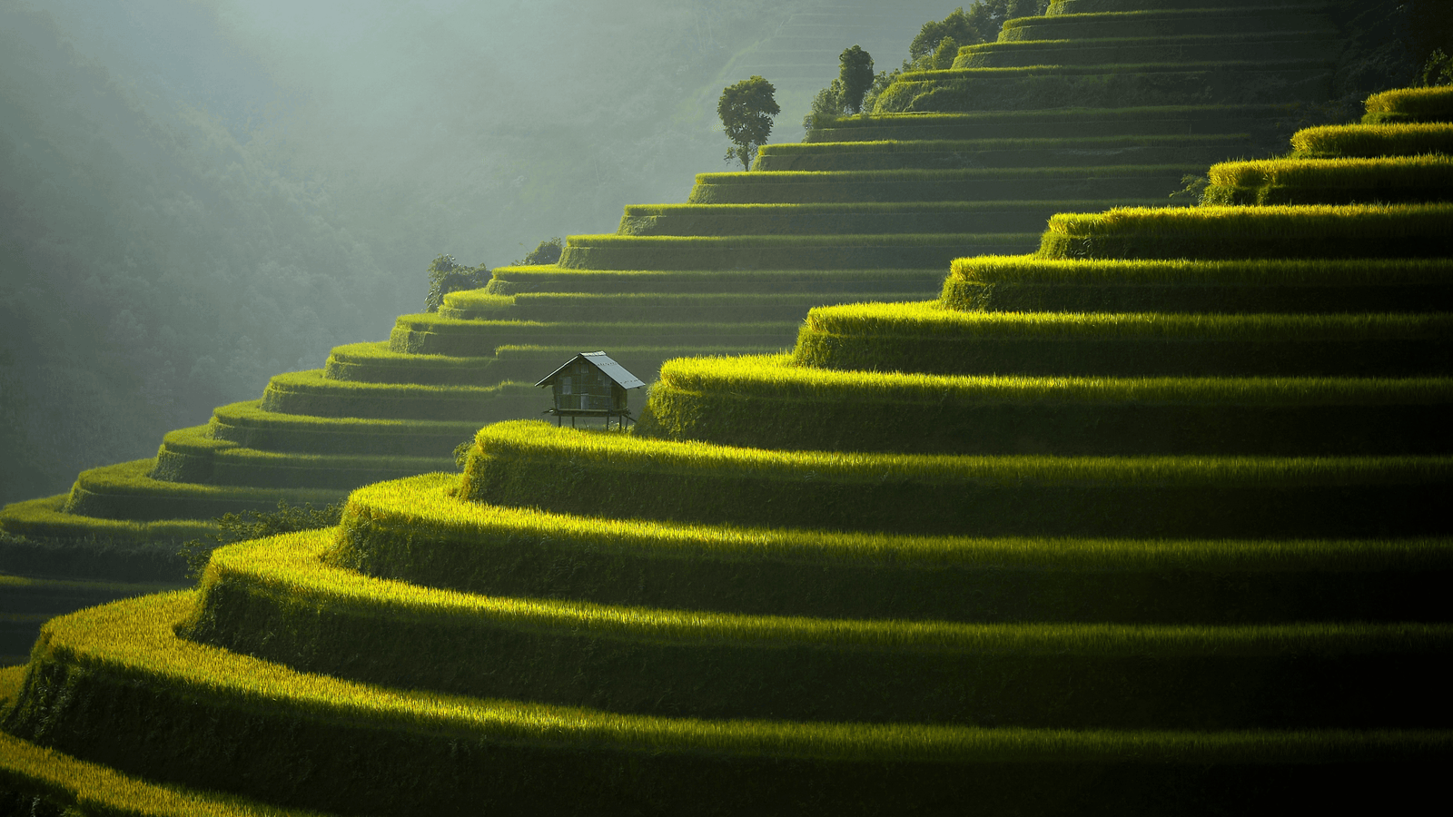 Batad Rice Terraces Philippines 2k 4k